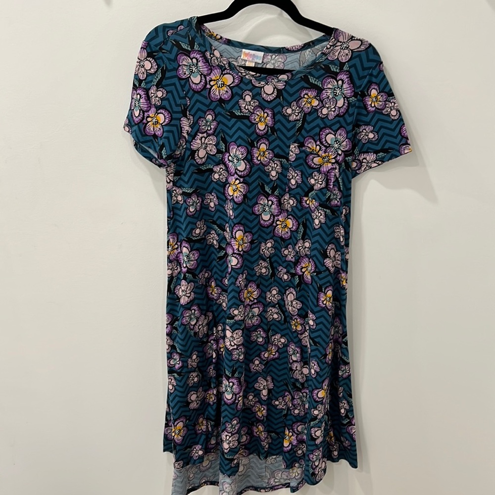 Size XXS Lularoe Carly dress
